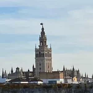 Atico Caleria Con Vistas A La Giralda Appartement Séville